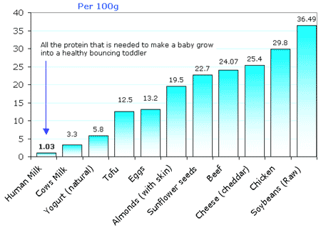 Protein Consumption Chart